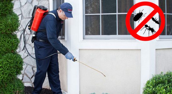 Uzundere Böcek ve Haşere İlaçlama böcek ilaçlama ve haşere kontrolü — ilaclama-tr.com